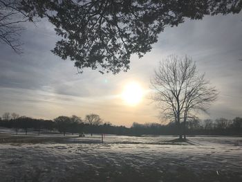 Bare trees on snow field against sky during sunset