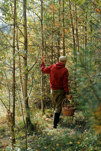 Rear view of man walking in forest