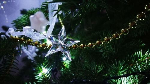 Close-up of christmas tree