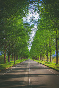 Empty road amidst trees in forest