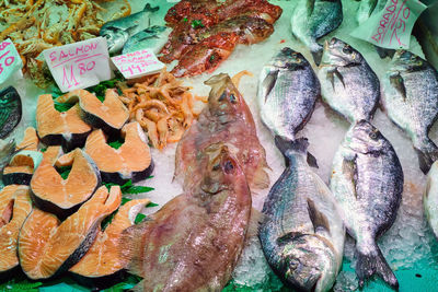 Fish and shrimps for sale at a market in spain