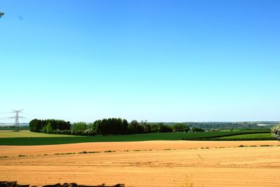 Scenic view of agricultural field against clear blue sky