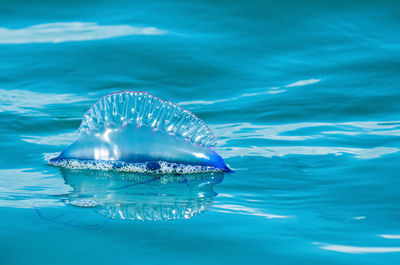 Close-up of water in sea