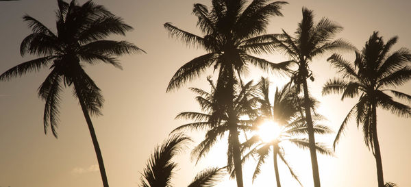 Silhouette palm trees against sky during sunset