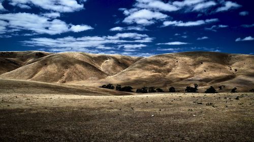 Scenic view of landscape against blue sky