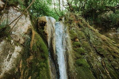 Close-up of waterfall in forest