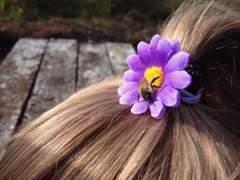 Close-up of purple flowers