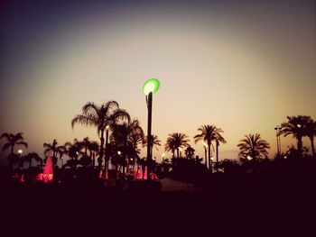 Palm trees against sky