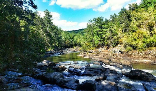 water, tree, scenics, tranquil scene, tranquility, beauty in nature, rock - object, sky, nature, stream, river, forest, flowing water, growth, flowing, green color, non-urban scene, idyllic, rock, day