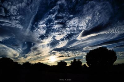 Silhouette of trees against sky at sunset