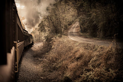 Train on dirt road amidst trees