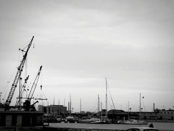 Sailboats in harbor against sky