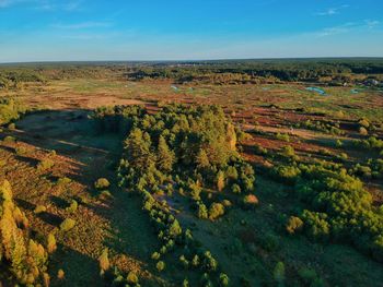 High angle view of trees on field against sky