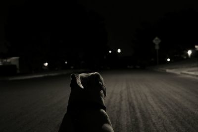 People standing on road at night