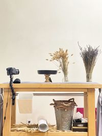 Potted plants on table against wall