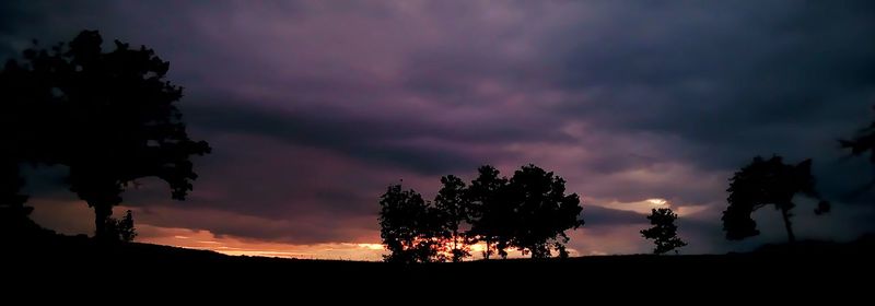 Silhouette trees against dramatic sky