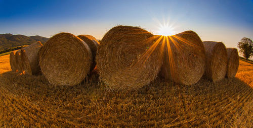 Hay bales on field against sky
