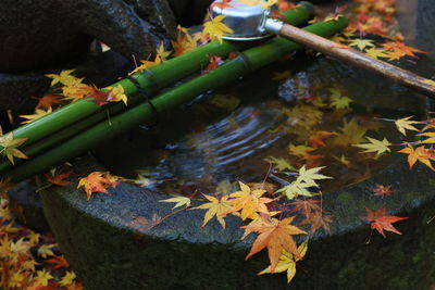 High angle view of ladle over water in temple