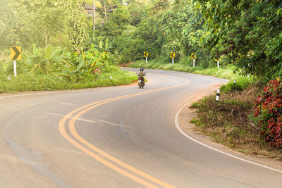 Rear view of man riding motorcycle on road by trees