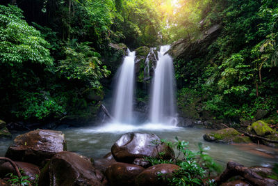 Waterfall in forest