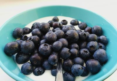 Close-up of blueberries in plate on table