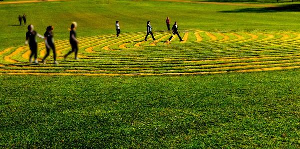 Man standing on grassy field