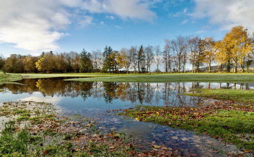 Scenic view of lake by trees against sky