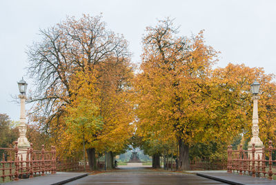 Street amidst trees against sky during autumn