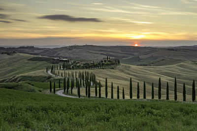 Scenic view of field against sky during sunset