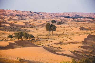 Scenic view of desert against sky