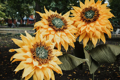 Large giant bendable paper flowers. big yellow suflowers 