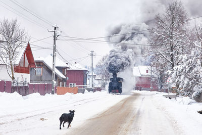 Dog running towards a steam train in winter landscape