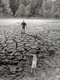 Rear view of boy standing on land