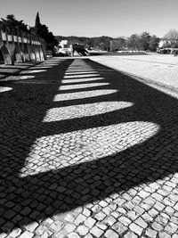 Shadow of tree on footpath