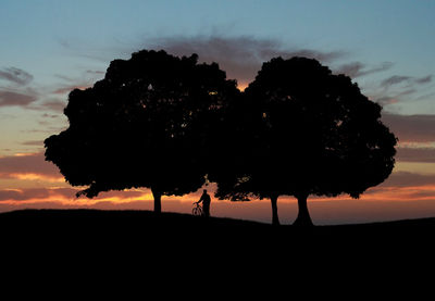 Silhouette of trees at sunset