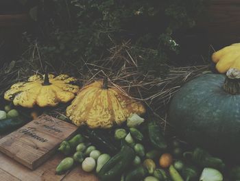 Close-up of pumpkin