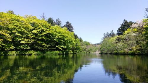 Scenic view of lake against clear sky