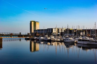 Sailboats in harbor