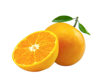 Close-up of orange fruit against white background