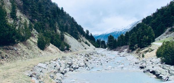 Panoramic view of trees and mountains against sky