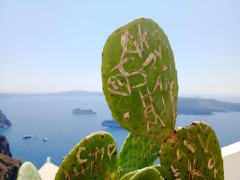 Close-up of heart shape against sea