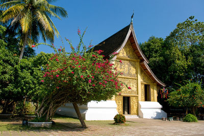 Wat xieng thong temple amidst trees