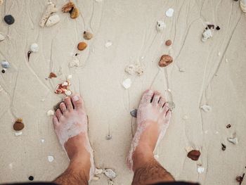 Low section of man standing on beach