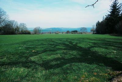 Scenic view of grassy field against sky