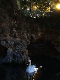 Rear view of two women in cave