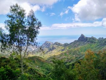 Scenic view of landscape against sky