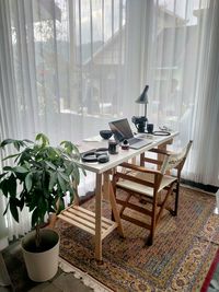 Potted plant on table