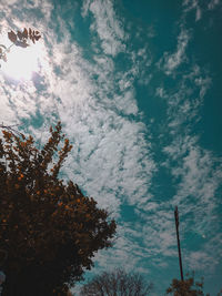 Low angle view of trees against sky