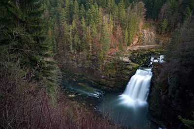 Scenic view of waterfall in forest