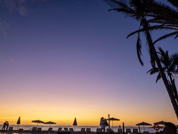 Silhouette palm trees on beach against clear sky at sunset